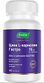 Купить цинк l-карнозин гастро, капсулы 60 шт бад в Городце