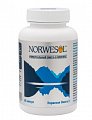 Купить норвесол омега 3, капсулы 500мг 60 шт. бад в Городце