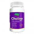 Купить холин 350мг, таблетки массой 1200мг 60 шт бад в Городце