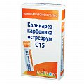 Купить калькареа карбоника остреарум с15, гомеопатический монокомпонентный препарат животного происхождения, гранулы гомеопатические 4 гр в Городце