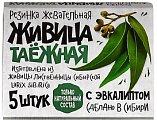 Купить живица таежная, жевательная резинка с эвкалиптом, 5 шт в Городце