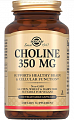 Купить solgar (солгар) холин 350мг, капсулы 100шт бад в Городце