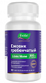 Купить ежовик гребенчатый, капсулы 60шт бад в Городце