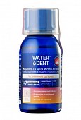 Купить waterdent (вотердент) жидкость для ирригатора утренний детокс + ополаскиватель, 100мл в Городце