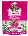 Купить alpine caramel (альпийская карамель) леденцы детские малина с медом и витамином с , 75г бад в Городце