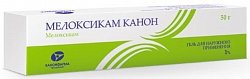Купить мелоксикам-канон, гель для наружного применения, 1%, туба 50г в Городце