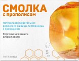 Купить витатека (vitateka) смолка жевательная лиственничная с прополисом, 5 шт  в Городце