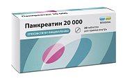 Купить панкреатин 20000, таблетки кишечнорастворимые, покрытые пленочной оболочкой 20000ед, 20 шт в Городце