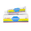 Купить тизоль, гель для местного и наружного применения, 30г в Городце