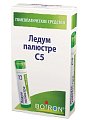 Купить ледум палюстре с5, гомеопатический монокомпонентный препарат растительного происхождения, гранулы гомеопатические 4г в Городце