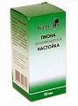Купить пиона настойка, флакон 25мл в Городце