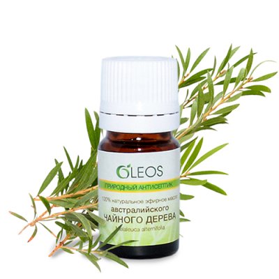 Купить oleos (олеос) природный антисептик косметическое масло австралийского чайного дерева, 5мл в Городце