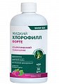 Купить snow sea хлорофилл форте жидкий со вкусом малины и мяты, 450 мл бад в Городце