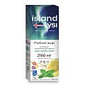 Купить lysi (лиси) рыбий жир со вкусом лимона и мяты, флакон 240мл бад в Городце